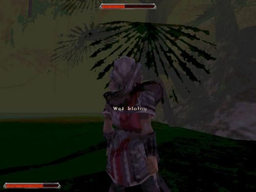 Gothic 2 002140,5